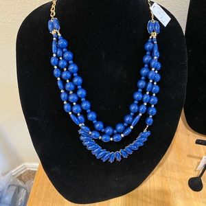 Meet your Posher, Darla